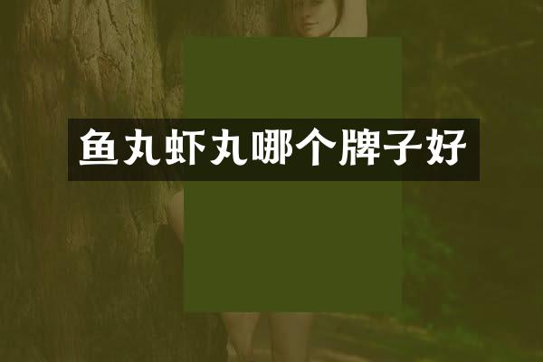 鱼丸虾丸哪个牌子好