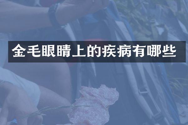金毛眼睛上的疾病有哪些