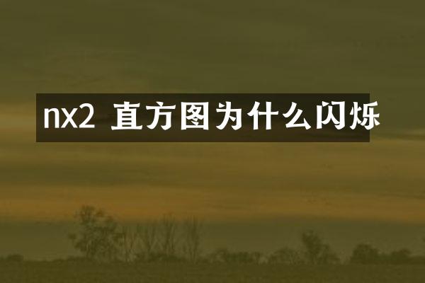nx2 直方图为什么闪烁