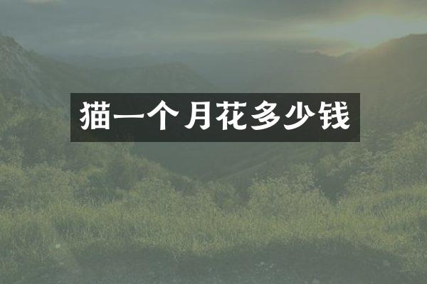 猫一个月花多少钱