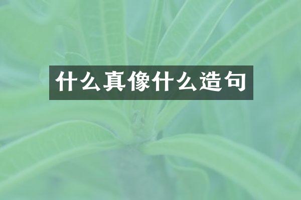 什么真像什么造句