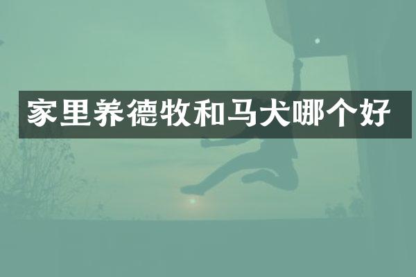 家里养德牧和马犬哪个好