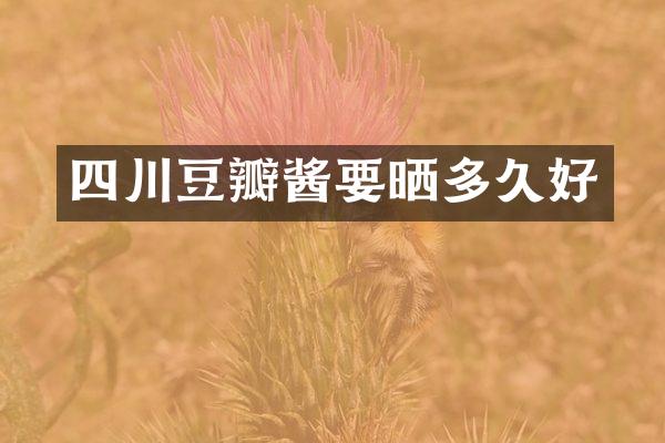 四川豆瓣酱要晒多久好