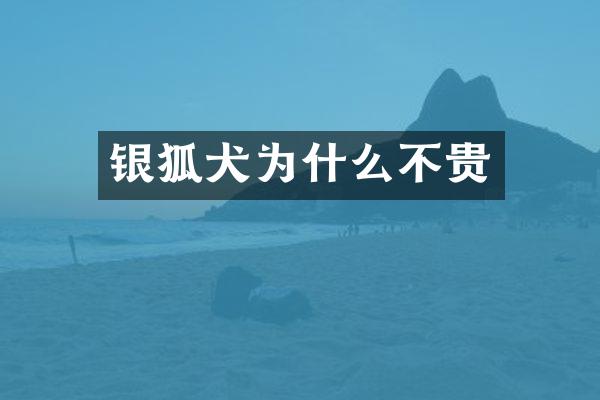 银狐犬为什么不贵