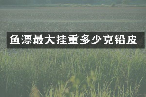 鱼漂最大挂重多少克铅皮