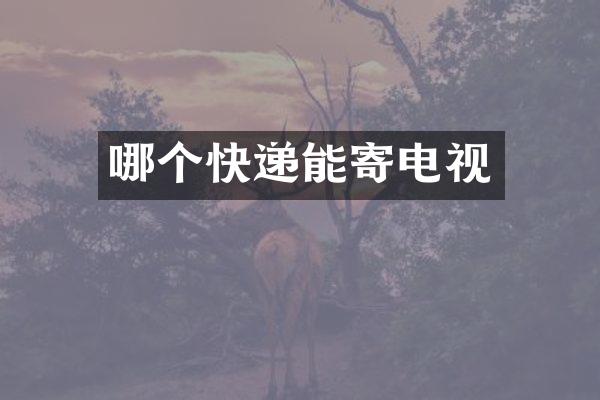 哪个快递能寄电视