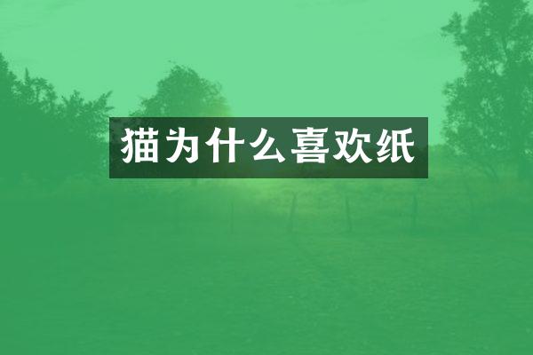 猫为什么喜欢纸
