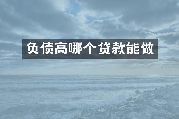 负债高哪个贷款能做