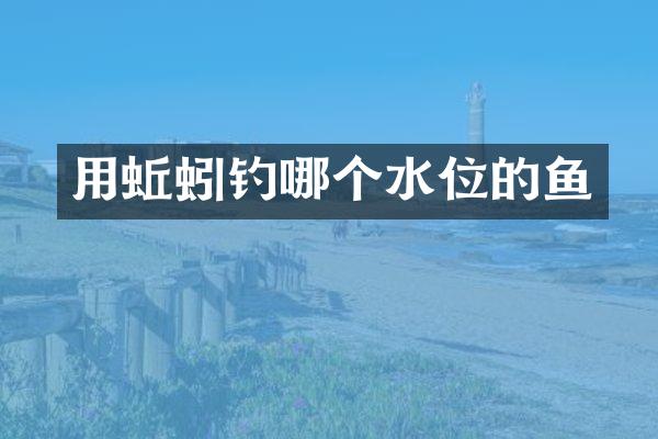 用蚯蚓钓哪个水位的鱼