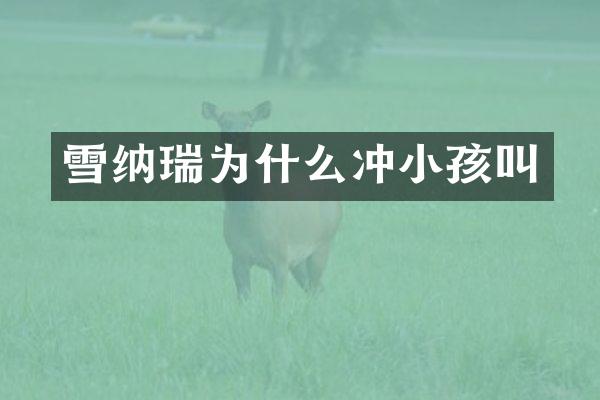 雪纳瑞为什么冲小孩叫