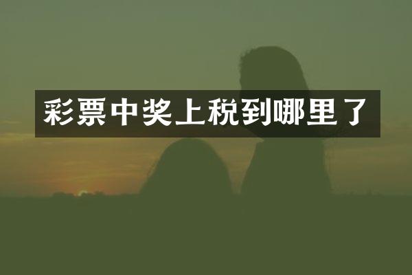 彩票中奖上税到哪里了