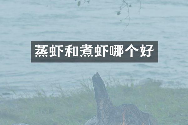 蒸虾和煮虾哪个好