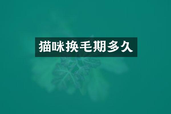 猫咪换毛期多久