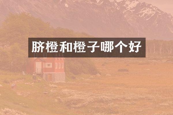 脐橙和橙子哪个好