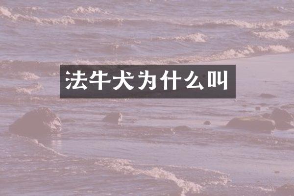 法牛犬为什么叫