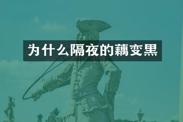 为什么隔夜的藕变黑