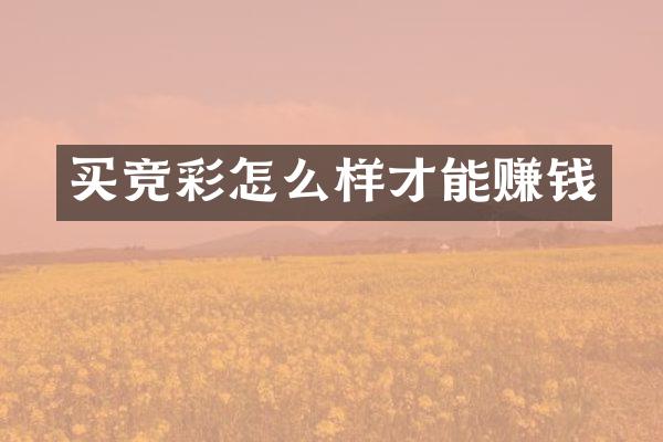 买竞彩怎么样才能赚钱