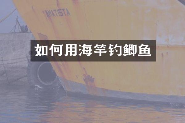 如何用海竿钓鲫鱼