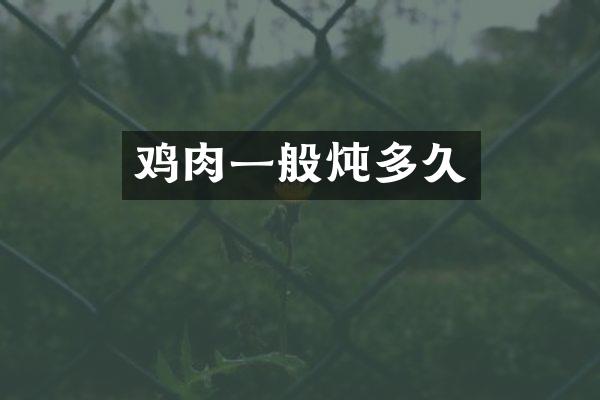 鸡肉一般炖多久