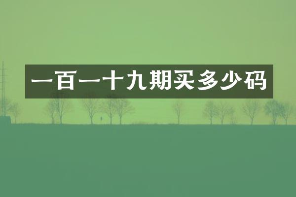 一百一十九期买多少码