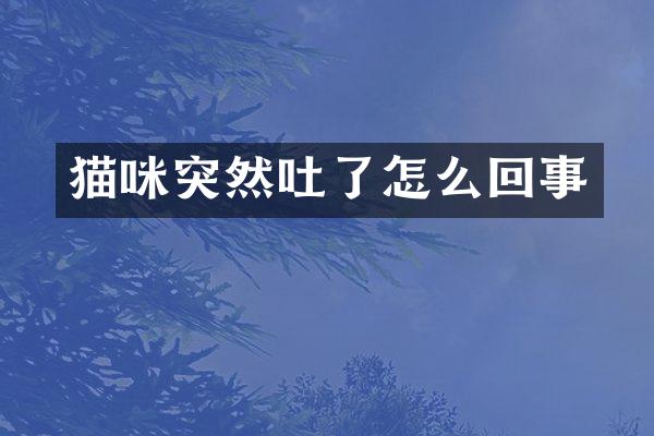 猫咪突然吐了怎么回事