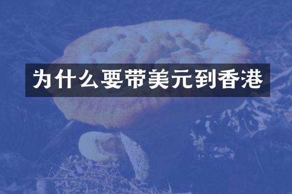 为什么要带美元到香港