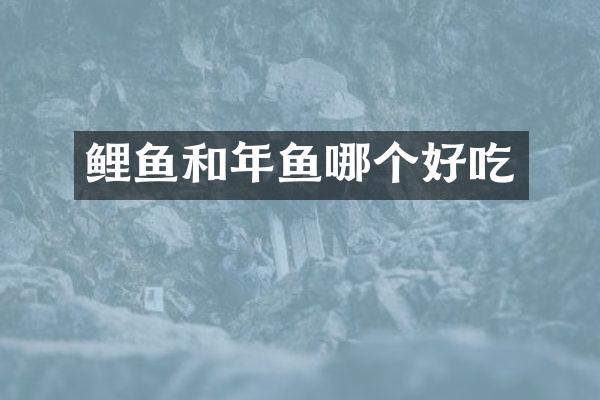 鲤鱼和年鱼哪个好吃