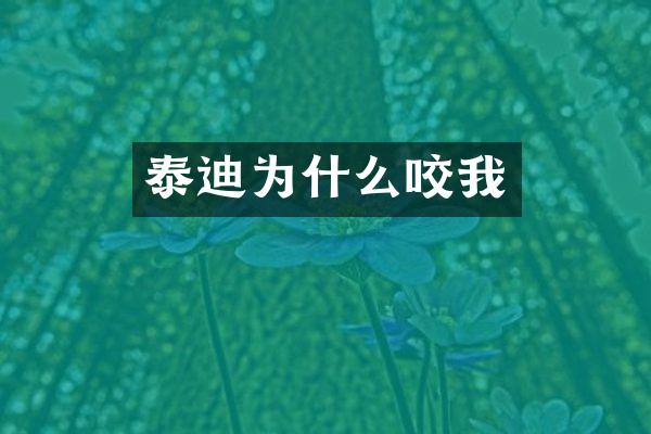 泰迪为什么咬我