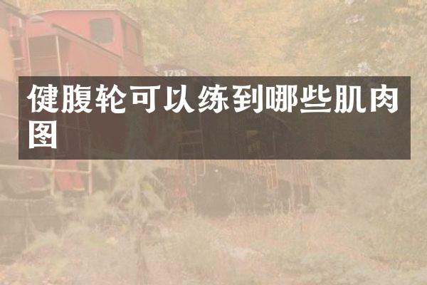 健腹轮可以练到哪些肌肉图