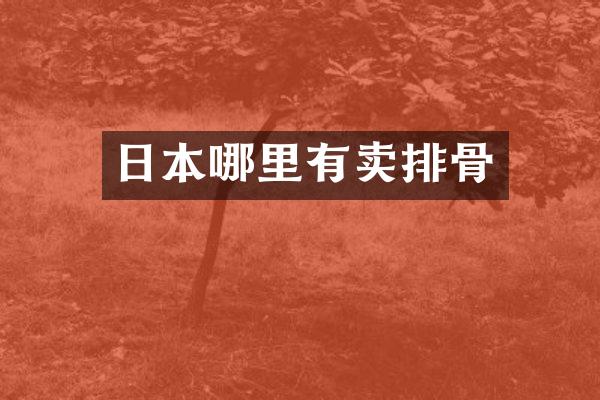 日本哪里有卖排骨
