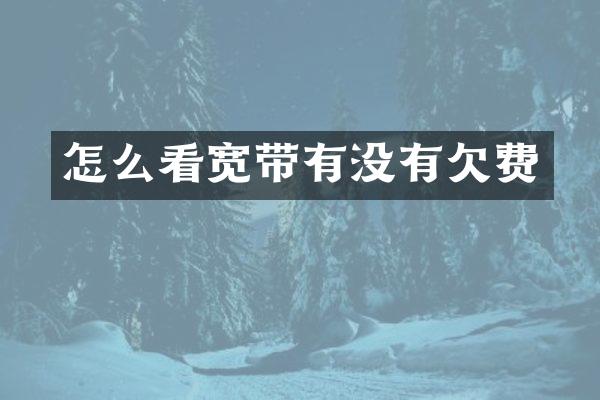 怎么看宽带有没有欠费