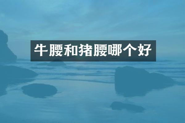 牛腰和猪腰哪个好