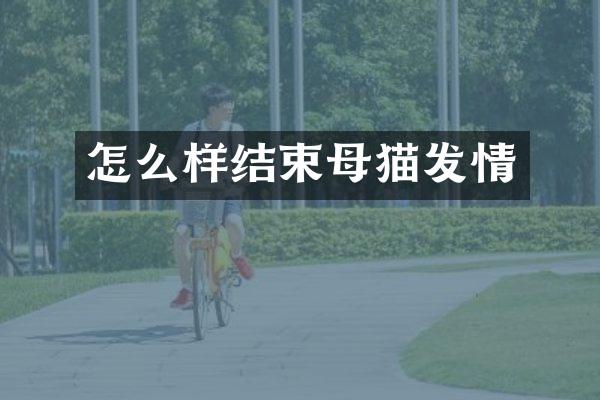 怎么样结束母猫发情