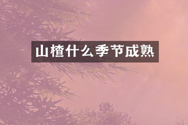 山楂什么季节成熟