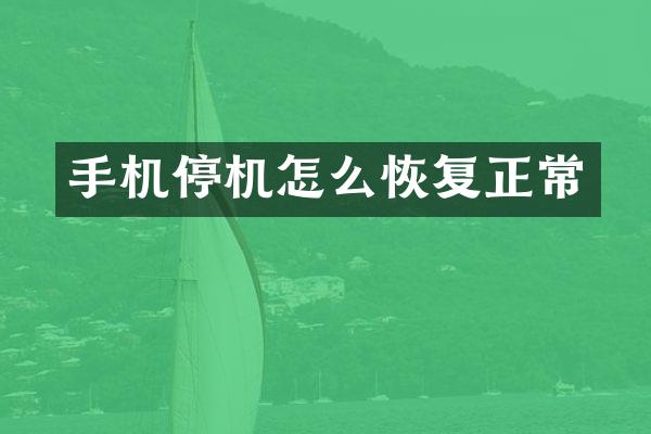 手机停机怎么恢复正常