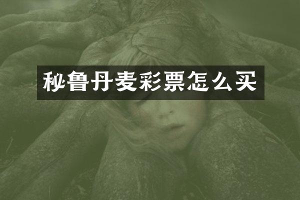 秘鲁丹麦彩票怎么买