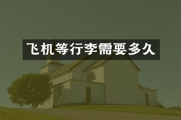 飞机等行李需要多久