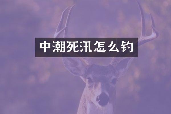 中潮死汛怎么钓