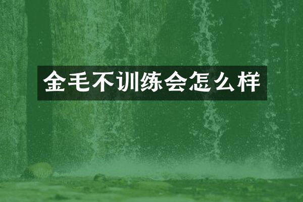 金毛不训练会怎么样