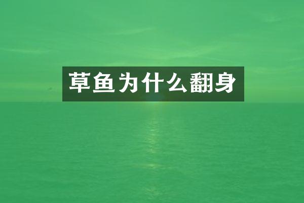 草鱼为什么翻身