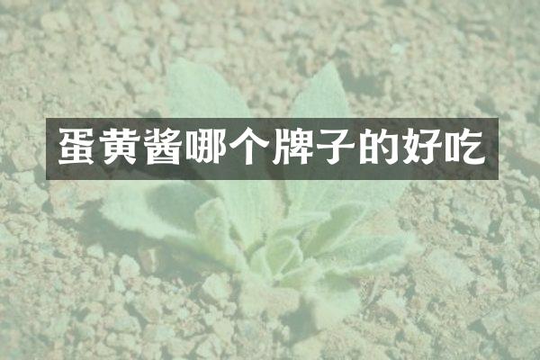 蛋黄酱哪个牌子的好吃