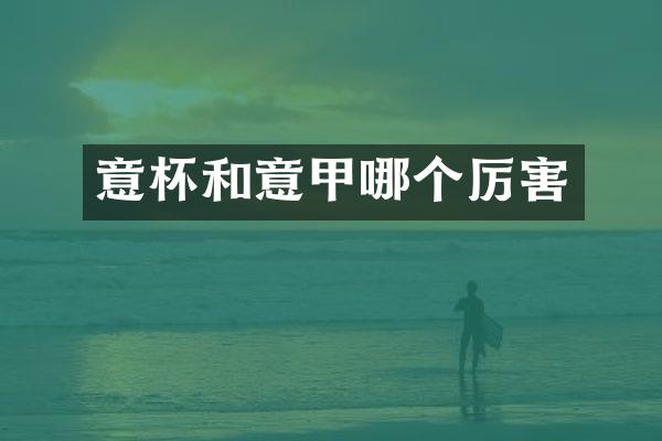 意杯和意甲哪个厉害