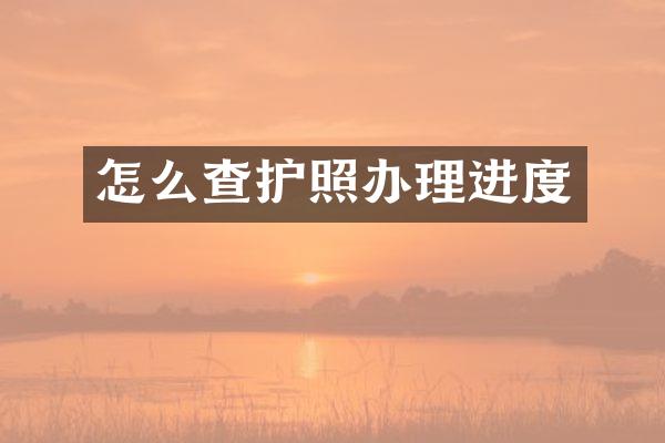 怎么查护照办理进度