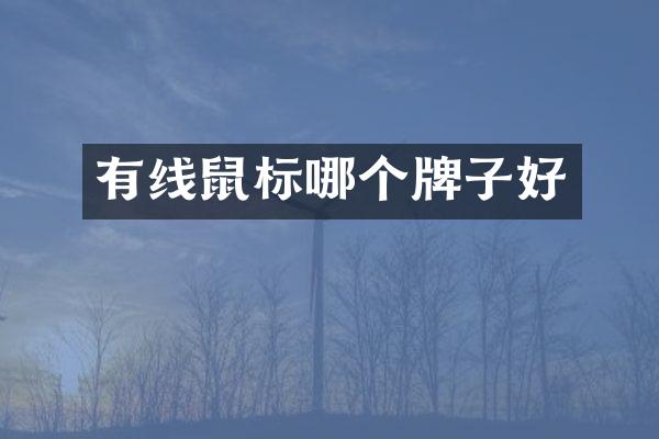 有线鼠标哪个牌子好