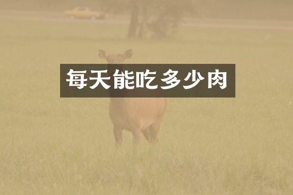每天能吃多少肉