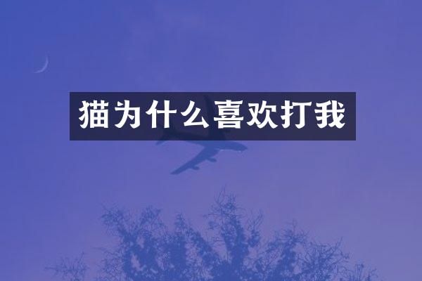 猫为什么喜欢打我