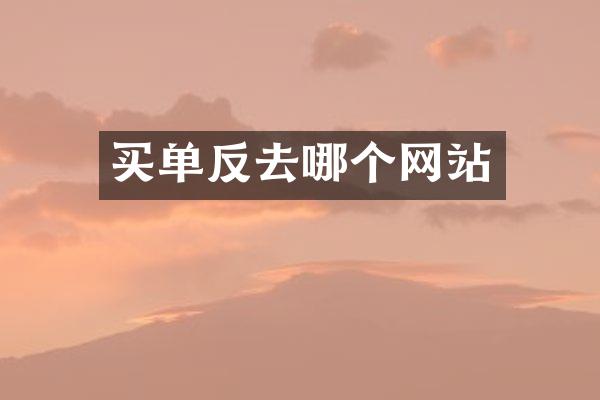 买单反去哪个网站