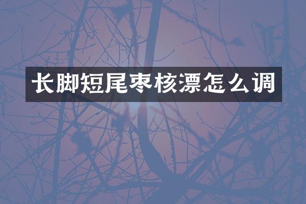 长脚短尾枣核漂怎么调