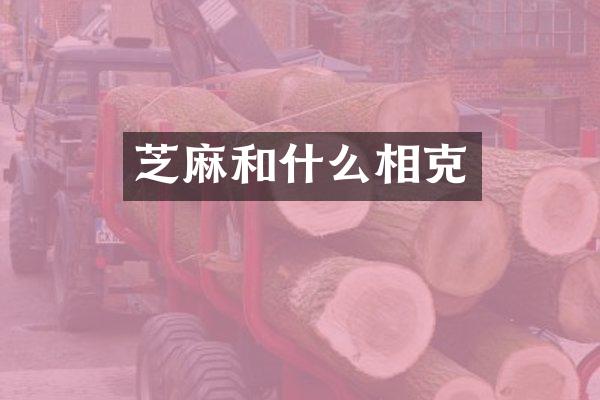 芝麻和什么相克