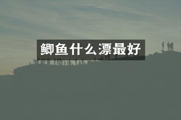 鲫鱼什么漂最好